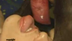 Молодая телочка устроила оральный секс собаке